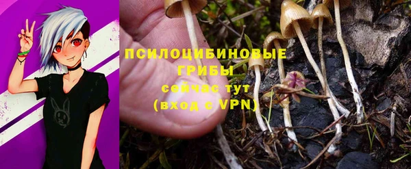 гидра Осинники
