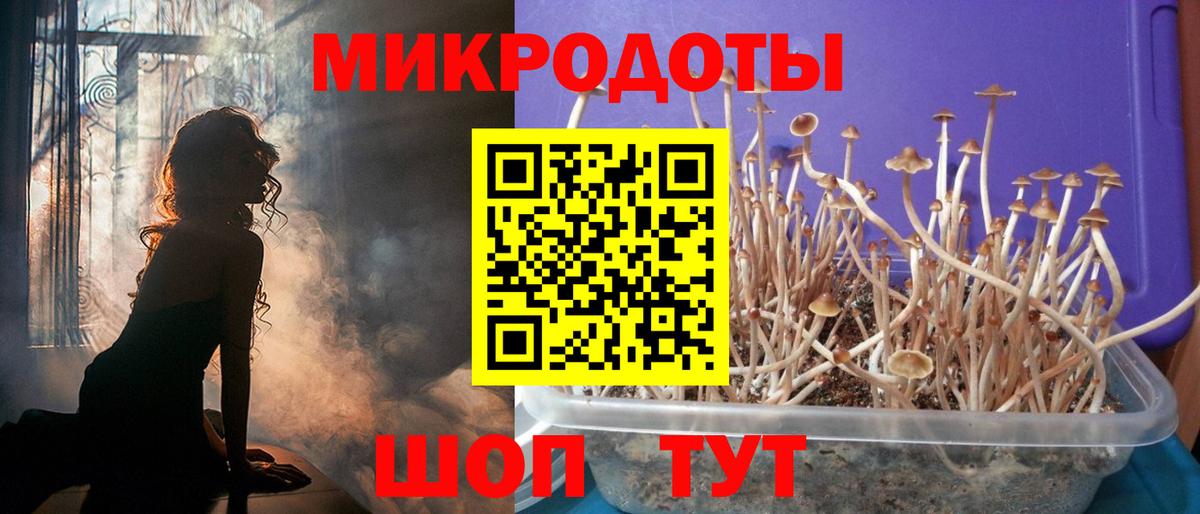 Галлюциногенные грибы мицелий Кушва